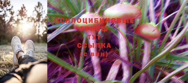 apvp Балабаново