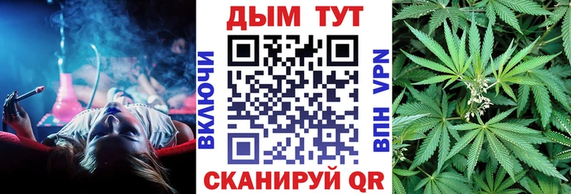 Бошки Шишки планчик Городовиковск
